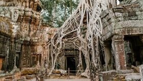 Ta Prohm Temple Gate in Siem Reap, Cambodia